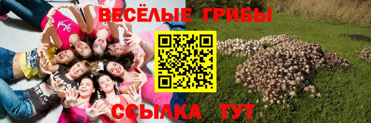 МЕФ   Кокаин  Бошки Шишки  НБОМе  Кыштым  Вход с VPN  Гашиш 